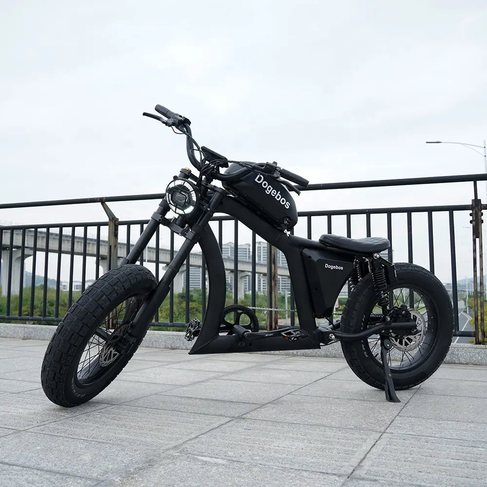 Vélo Électrique | Dogebos FT-02 S | 750 W | V-max 25 km/h | Autonomie 60-100 km - Atom Motors