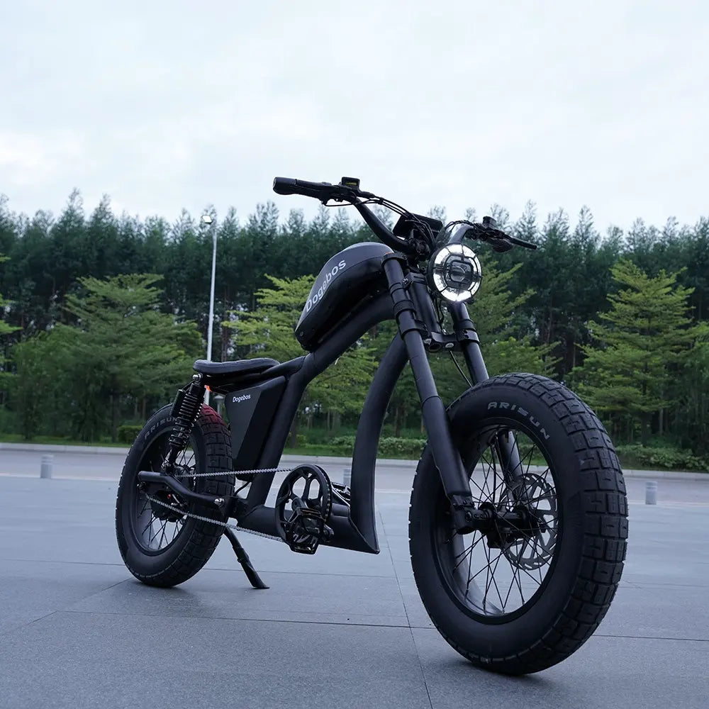 Vélo Électrique | Dogebos FT-02 S | 750 W | V-max 25 km/h | Autonomie 60-100 km - Atom Motors