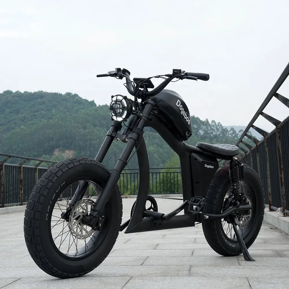 Vélo Électrique | Dogebos FT-02 S | 750 W | V-max 25 km/h | Autonomie 60-100 km - Atom Motors