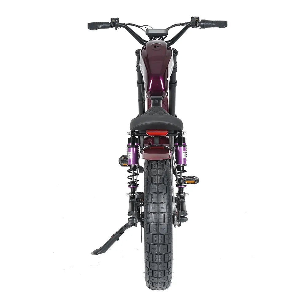 Vélo Électrique | Dogebos FT-02 S | 750 W | V-max 25 km/h | Autonomie 60-100 km - Atom Motors