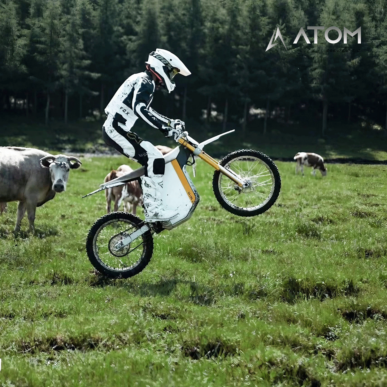 Moto électrique Dirtbike, Gowow Ori | 9000 W | 50 cc | V-max 45 km/h | Autonomie 100 km - Atom Motors