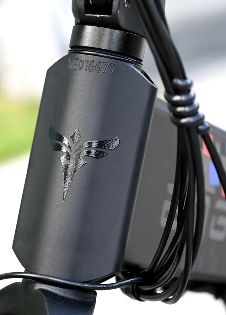 Vélo électrique Fatbike | Engwe Engine X | 250 W | V-max 25 km/h | Autonomie 100 km - Atom Motors