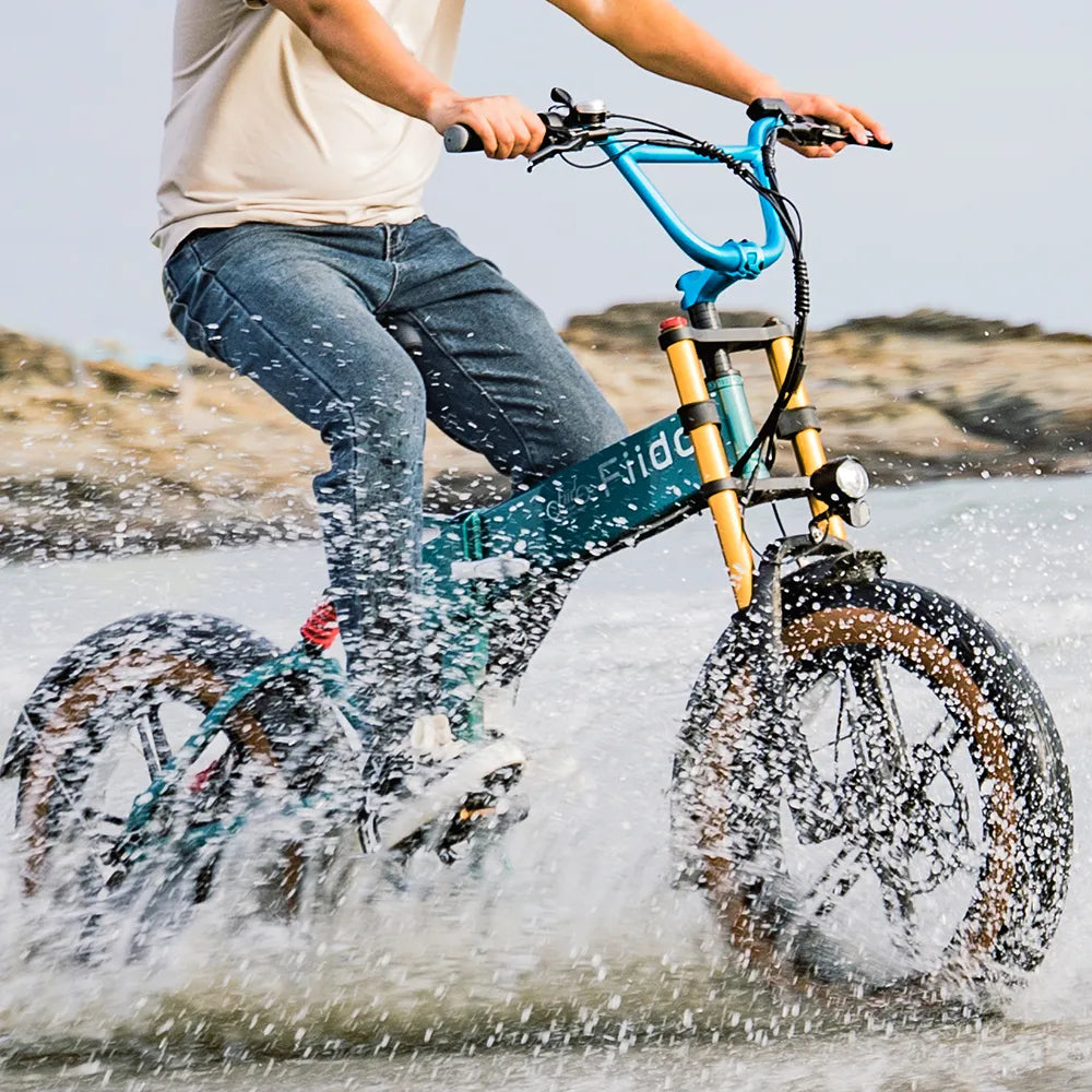 Vélo électrique Fatbike | Fiido M1 Pro | 250 W – 50 Nm | V‑max 25 km/h | Autonomie 88,8 km - Atom Motors