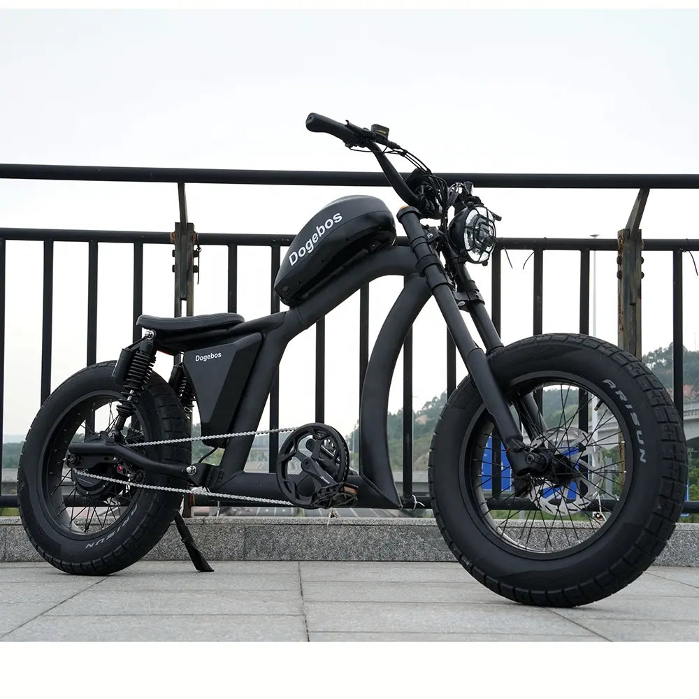 Vélo Électrique Dogebos FT-02 S 750 W V-max 25 km/h Autonomie