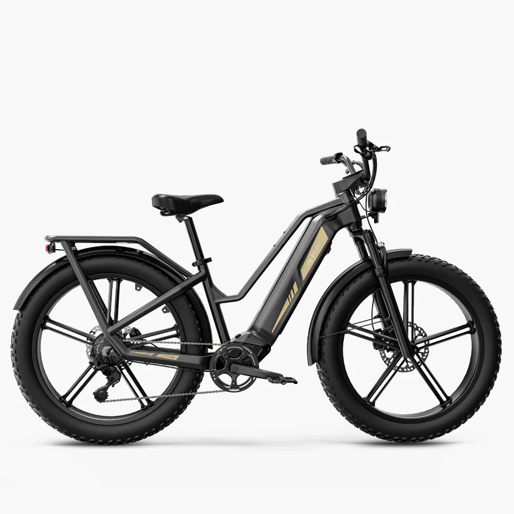 Vélo électrique Fatbike | Fiido Titan | 750 W | V‑max 25 km/h | Autonomie 115 km - Atom Motors