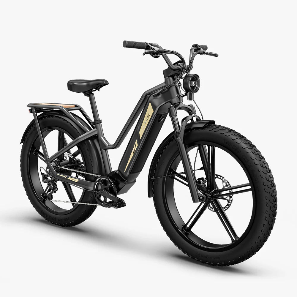 Vélo électrique Fatbike | Fiido Titan | 750 W | V‑max 25 km/h | Autonomie 115 km - Atom Motors