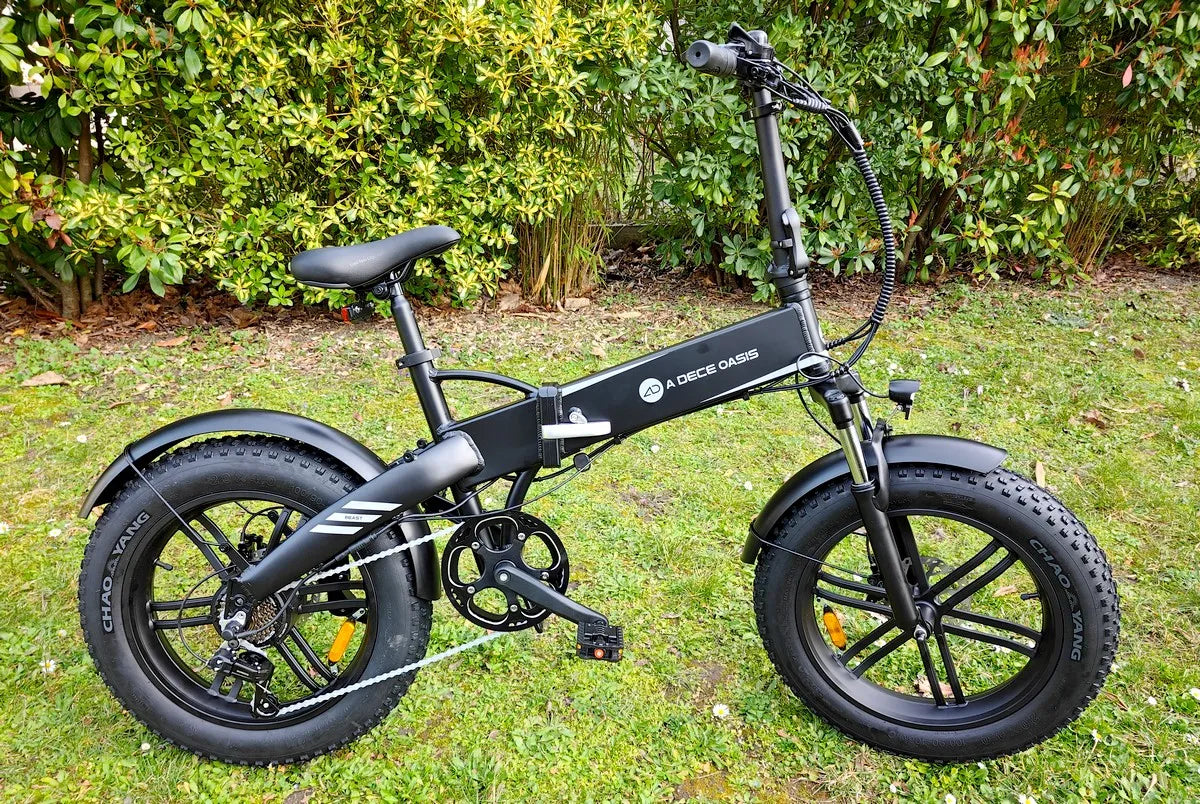 Vélo Électrique | A Dece Oasis A20F |250 W | Vmax 25 km/h - Atom Motors